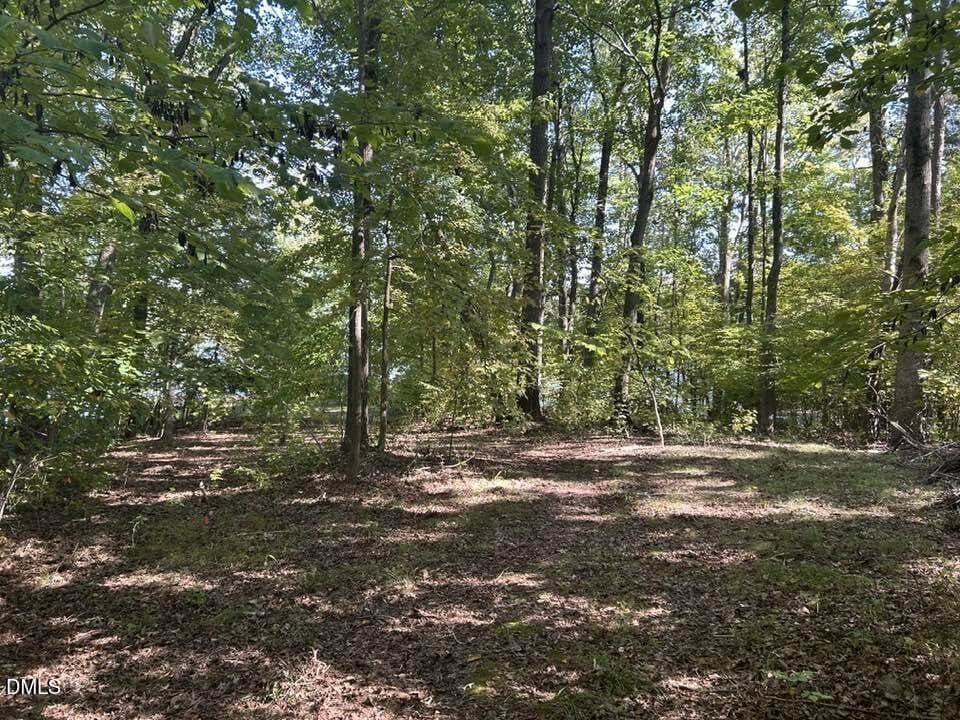 WOODED AREA - Lot 19 Sugar Tree Lane, Roxboro, NC 27574