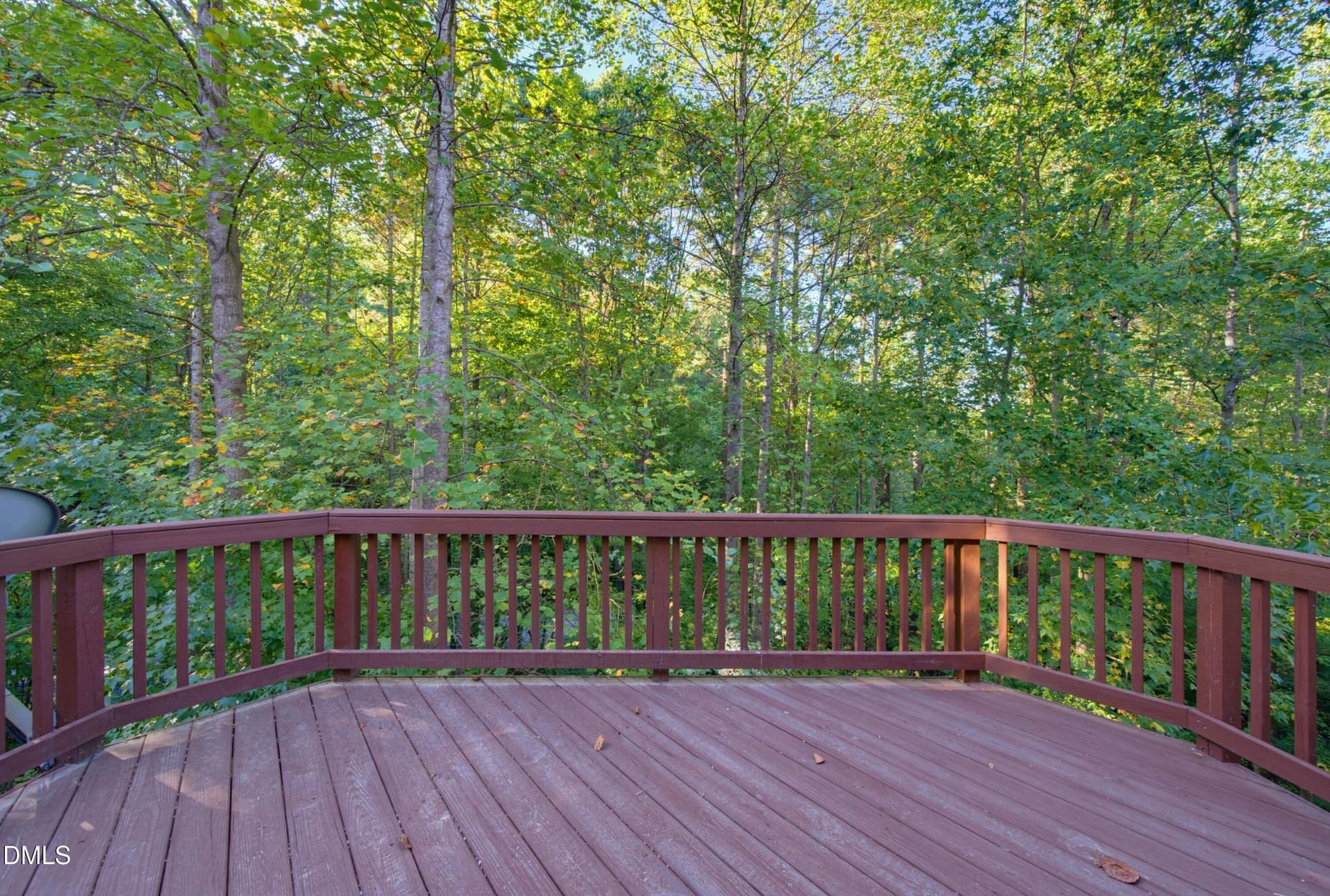 DSC01582 - 6829 Middleboro Drive, Raleigh, NC 27612