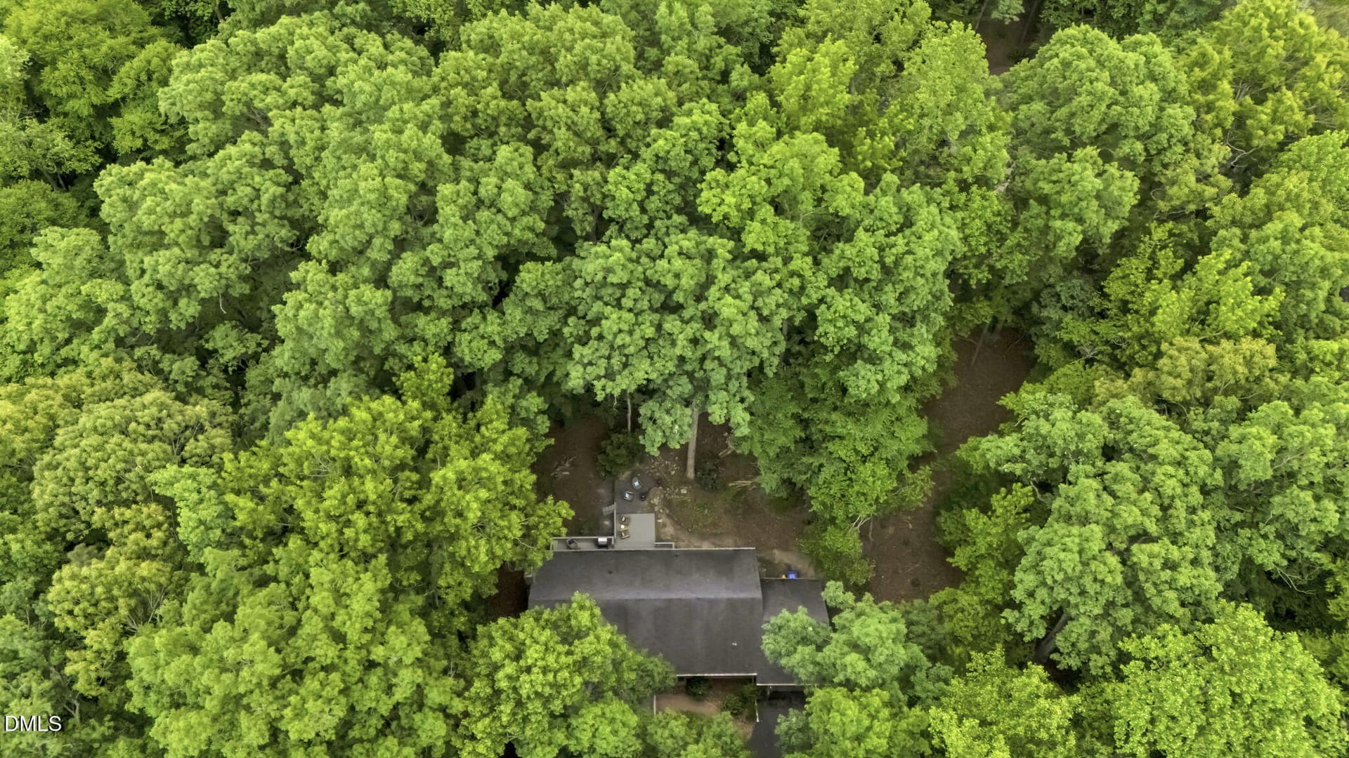 52-web-or-mls-soldography_0017_D - 140 Holly Lane, Sanford, NC 27332