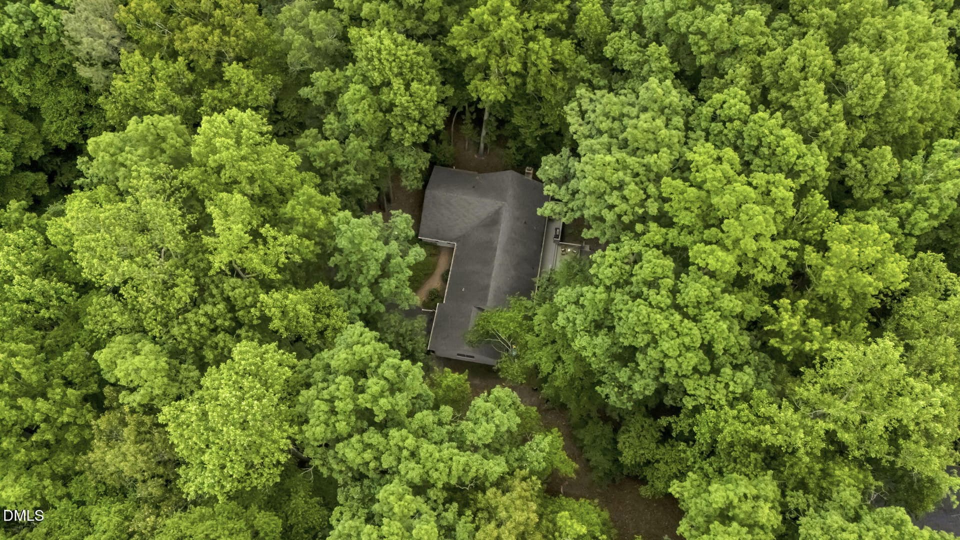 53-web-or-mls-soldography_0018_D - 140 Holly Lane, Sanford, NC 27332