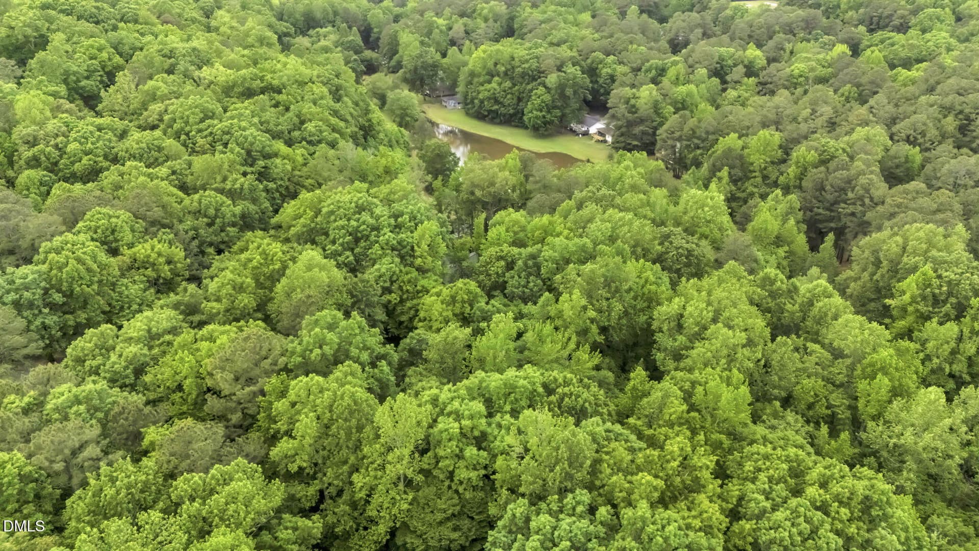 55-web-or-mls-soldography_0020_D - 140 Holly Lane, Sanford, NC 27332