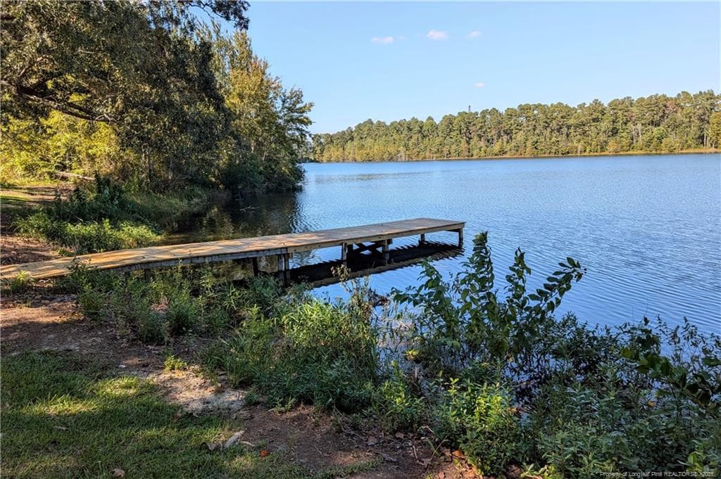 Photo 42 - 113 Lakeview Drive, Red Springs, NC 28377