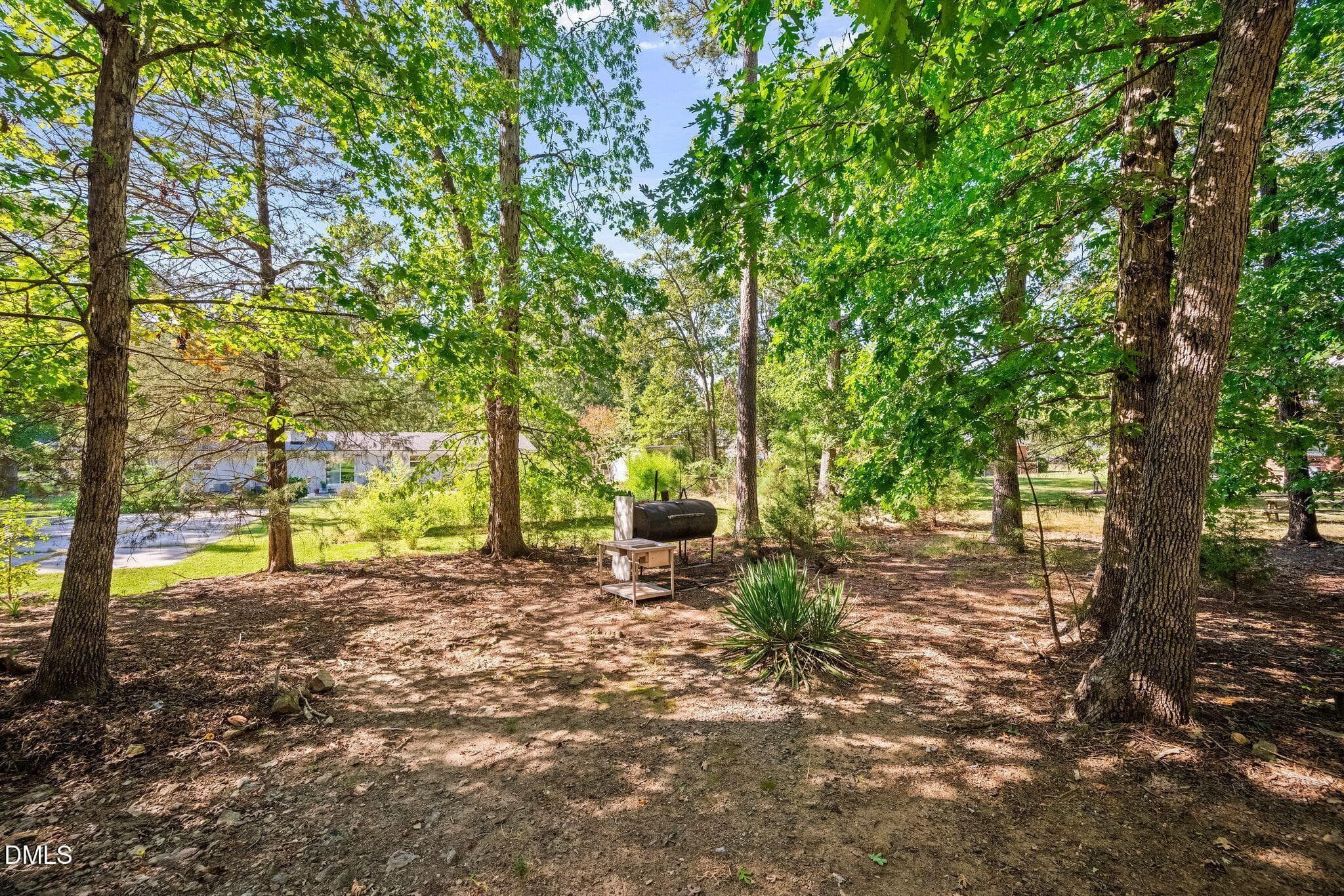 DSC_4114 - 4415 Rhew Drive, Durham, NC 27704