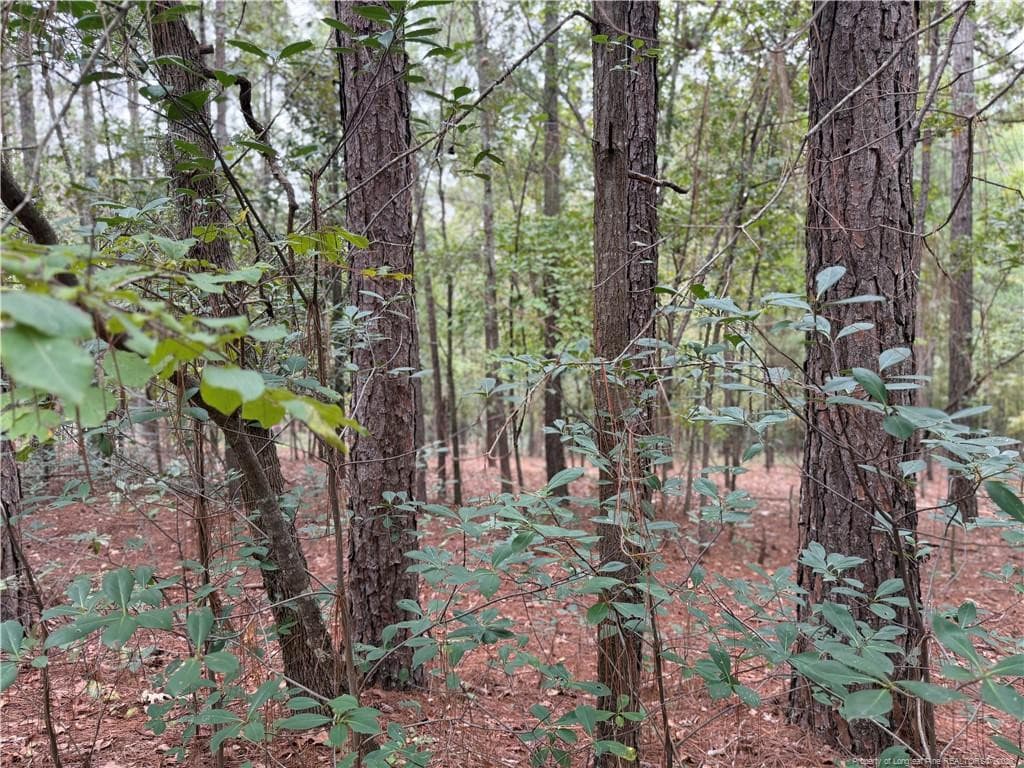 Lot 7A Mumford Road, Raeford, NC 28376