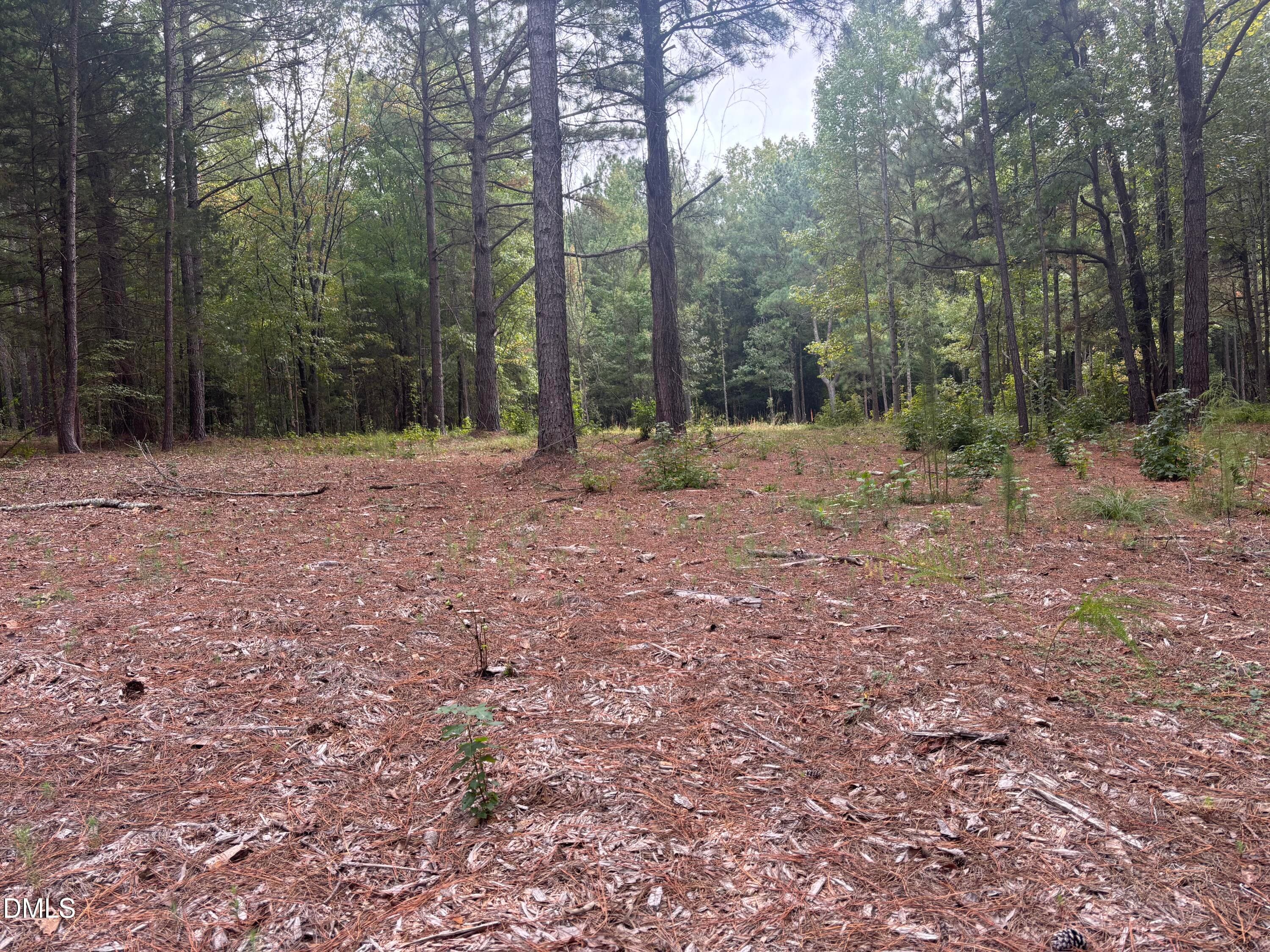 IMG_7762 - 4030 Granite Ridge Trail, Raleigh, NC 27616, Raleigh