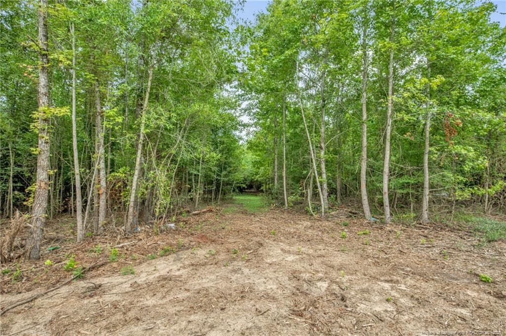 Photo 11 - 00 Riverstead (Lot 2) Road W, Fayetteville, NC 28312, Fayetteville
