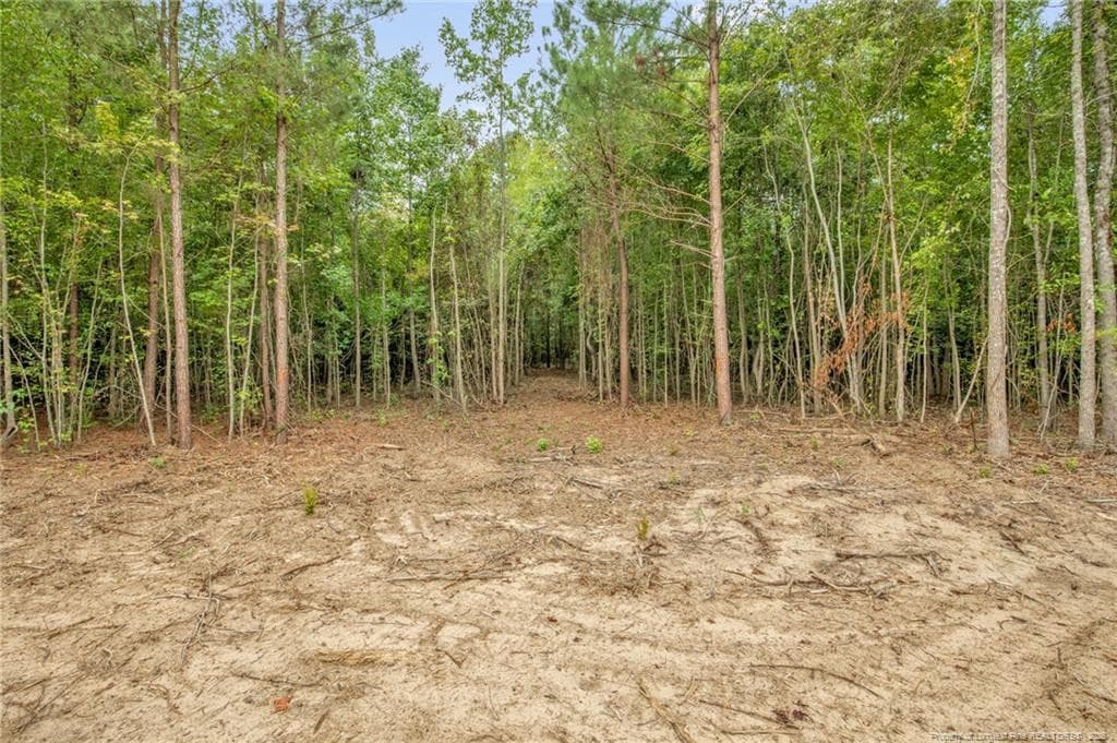 Photo 12 - 00 Riverstead (Lot 2) Road W, Fayetteville, NC 28312, Fayetteville