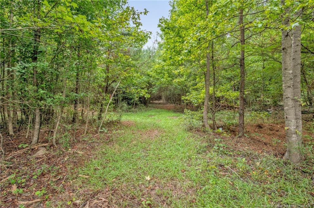 Photo 13 - 00 Riverstead (Lot 2) Road W, Fayetteville, NC 28312, Fayetteville