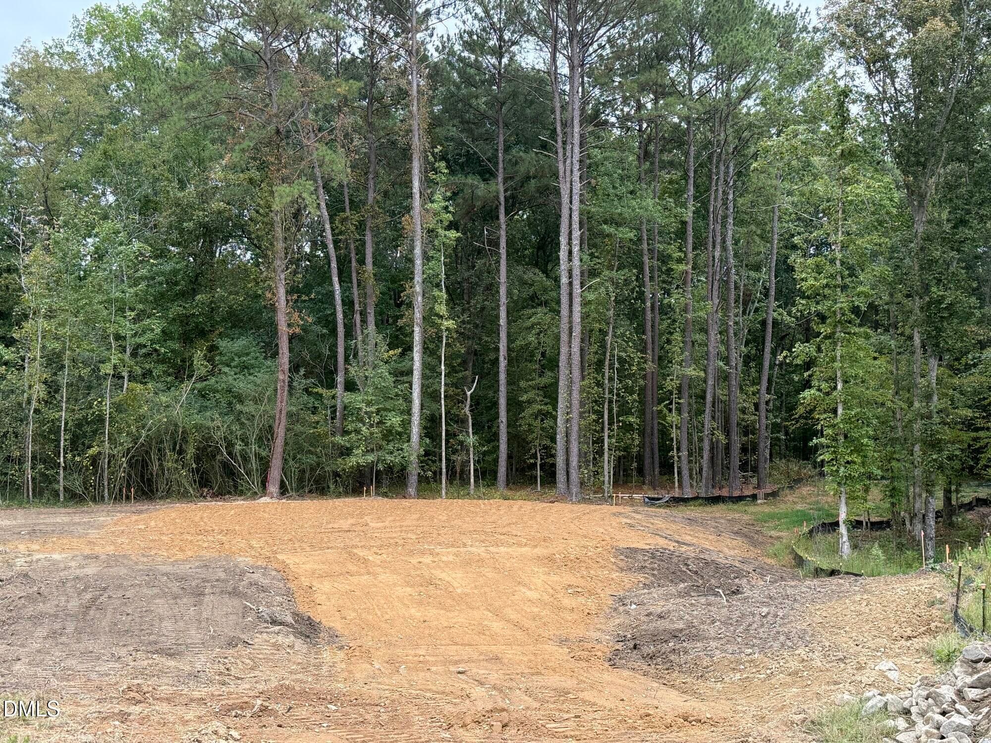 IMG_9844 - 4000 Kingcraig Lane, Zebulon, NC 27597, Zebulon