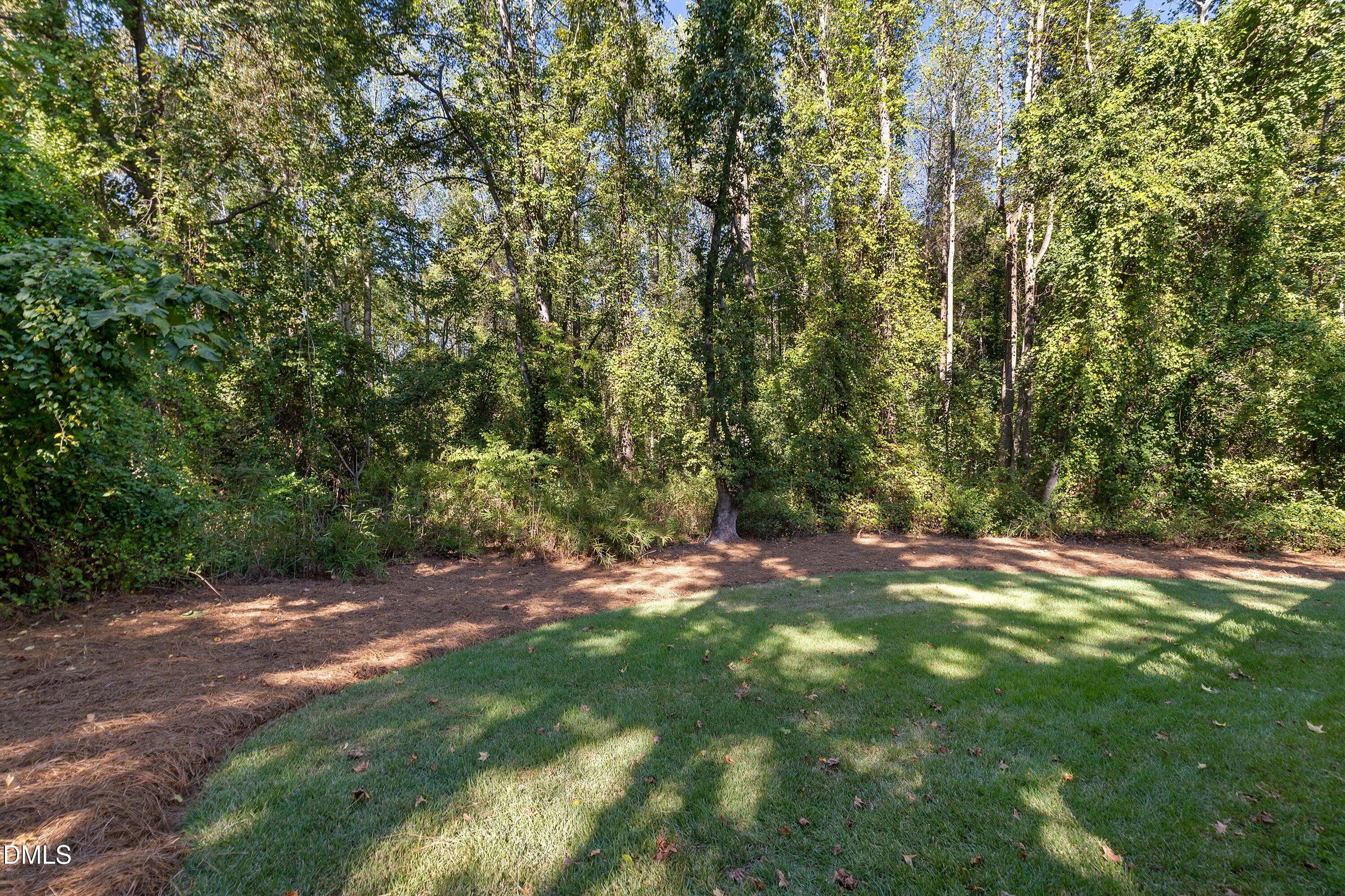 Back yard - 1359 Stone Lion Drive, Fuquay Varina, NC 27526
