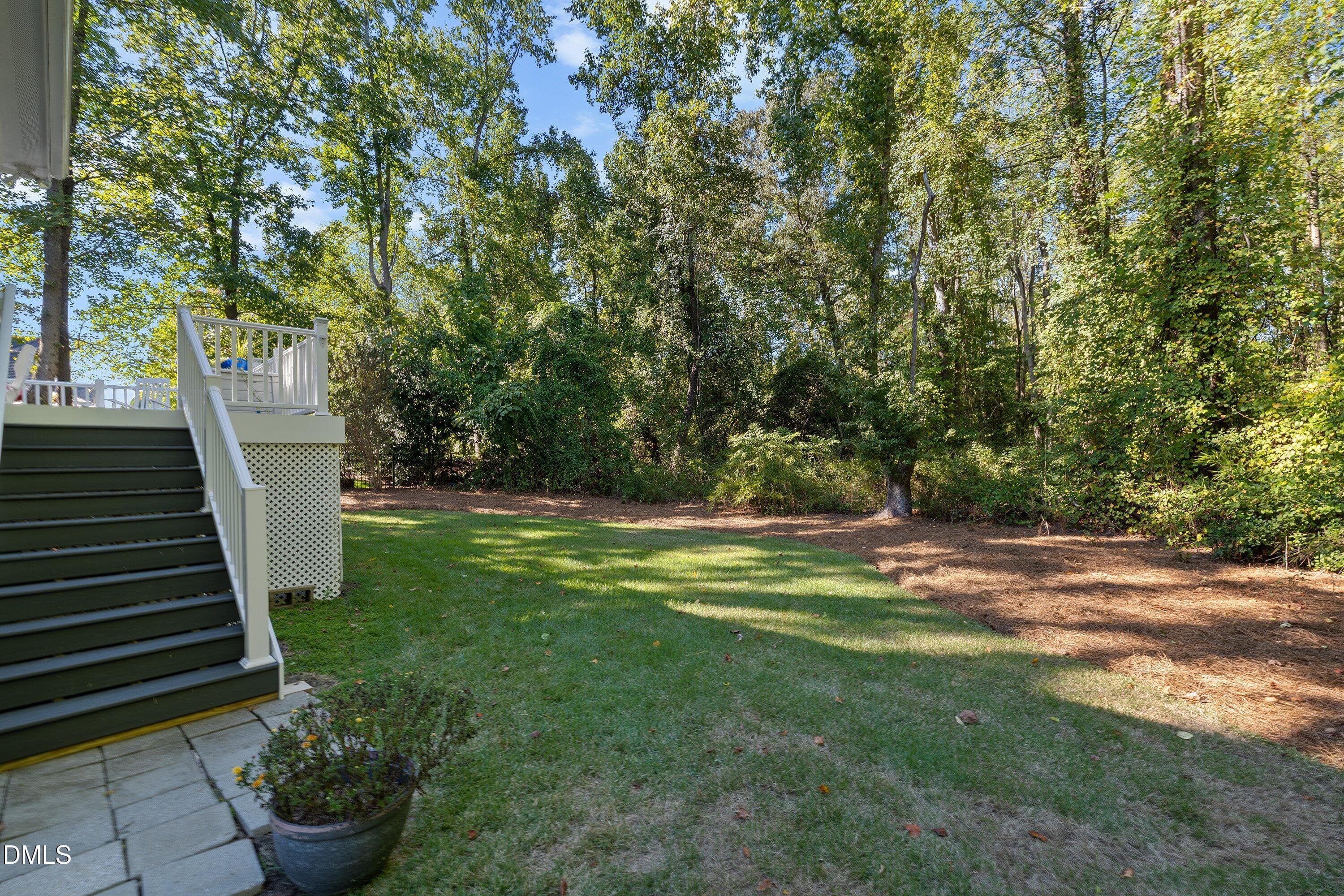 Back Deck Stairs - 1359 Stone Lion Drive, Fuquay Varina, NC 27526