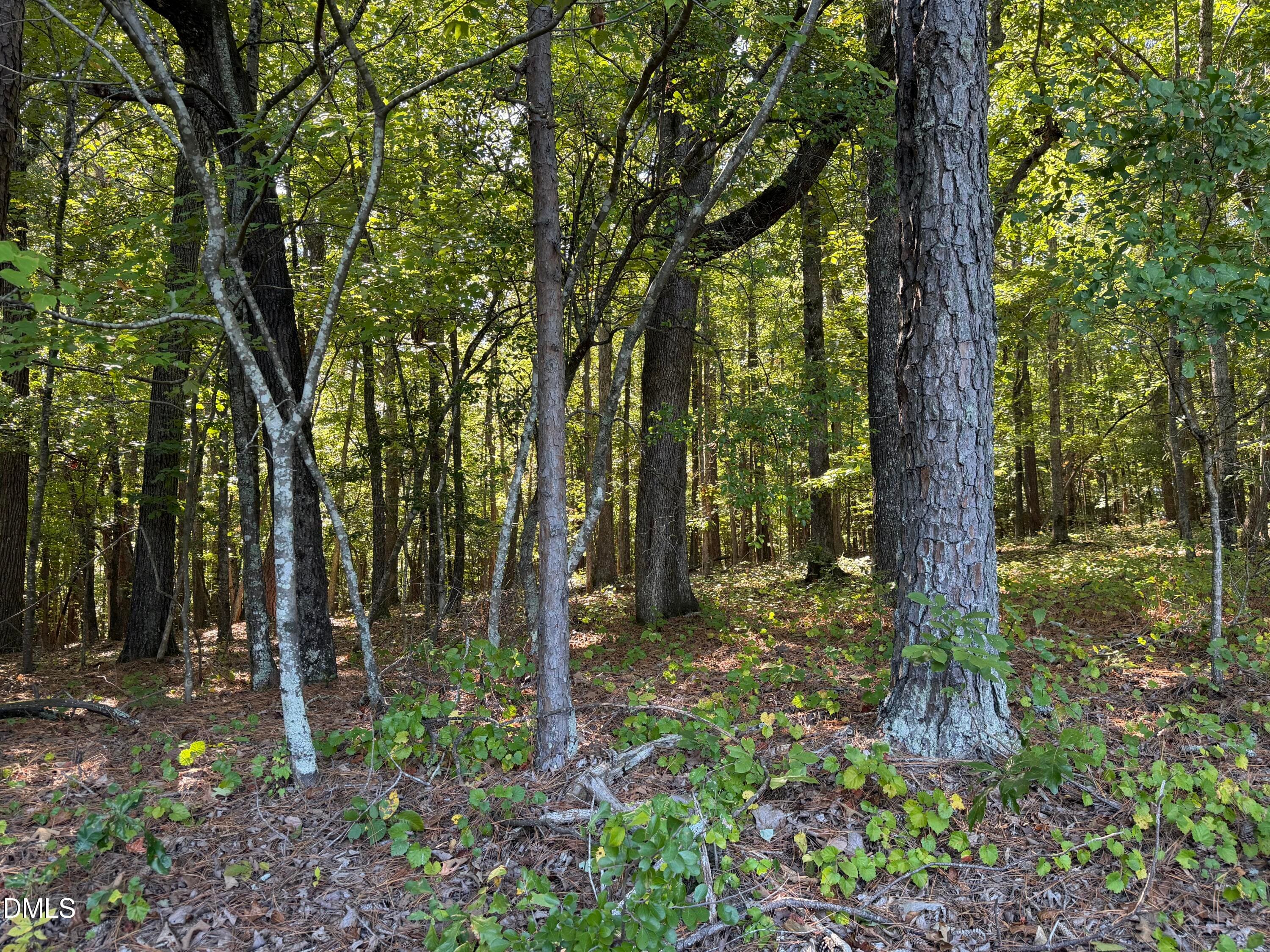 wooded area - 5374 Us-401 N, Fuquay Varina, NC 27526