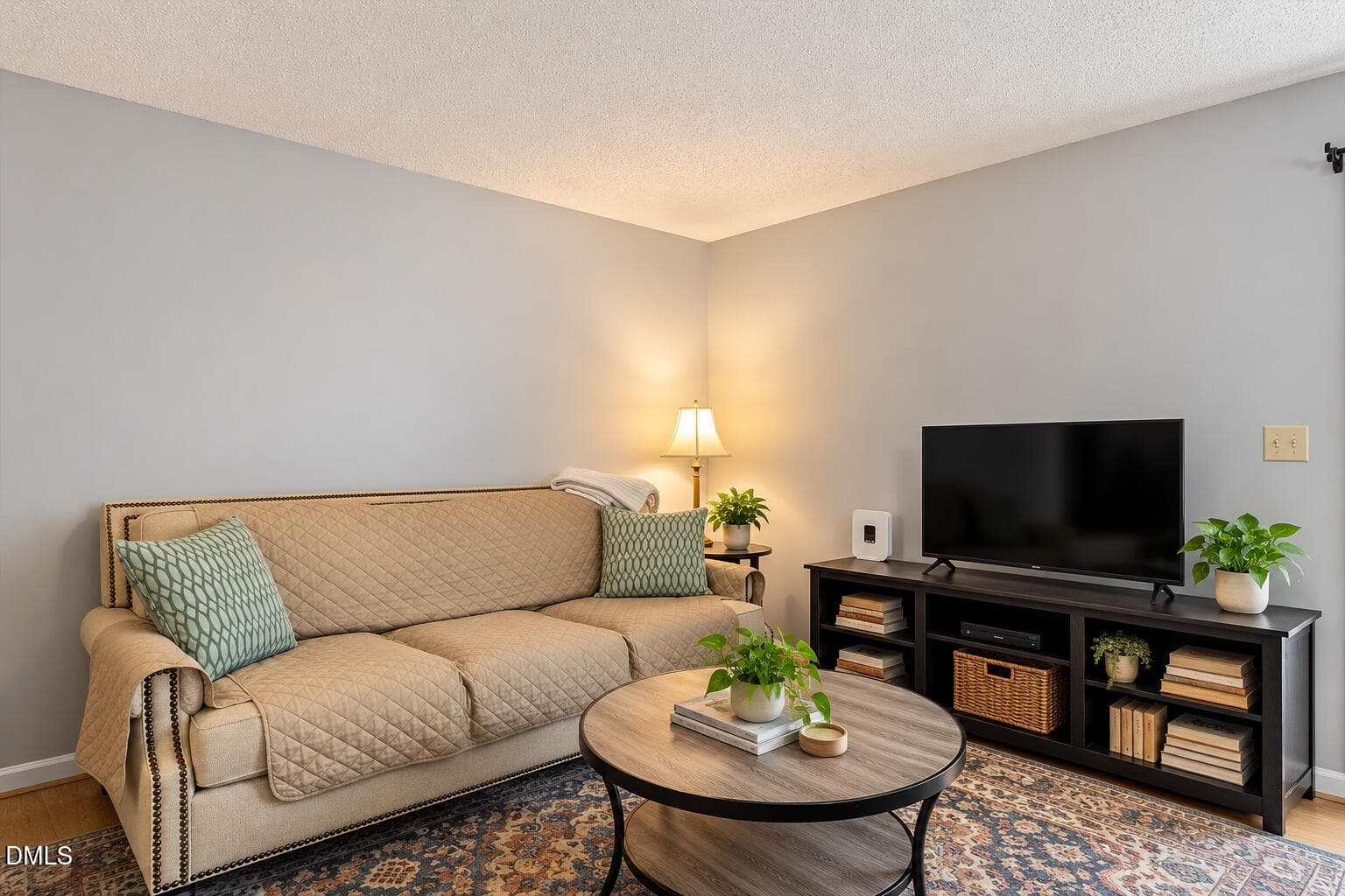 Cozy Neutral Living Room Corner - 310 Culvert Street, Apex, NC 27502, Apex