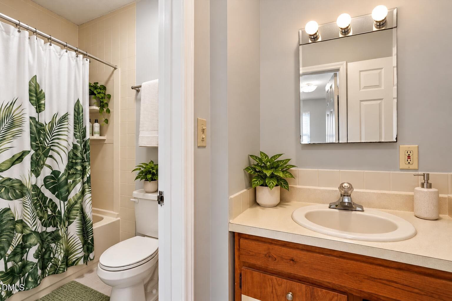 Three-Bulb Botanical Bathroom Vanity - 310 Culvert Street, Apex, NC 27502, Apex