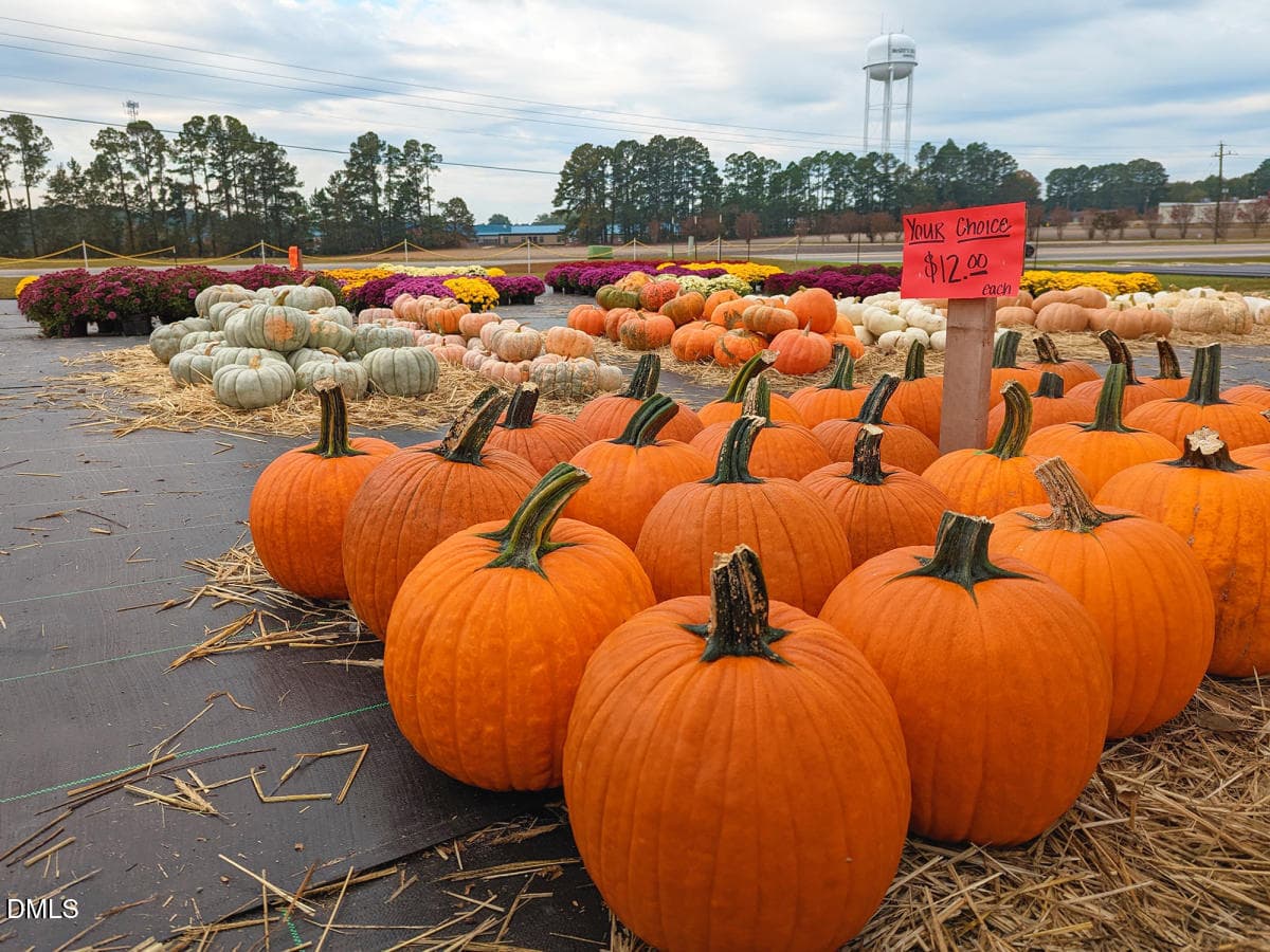 Penny's Produce Road Side Stand - 529 Highview Drive, Benson, NC 27504