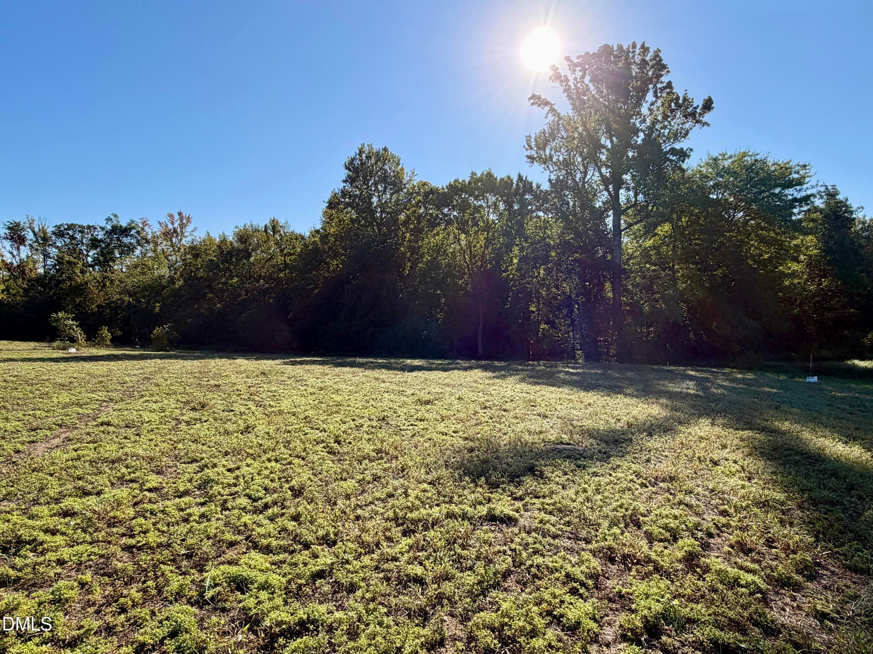 4.77 Acres Snipes Road, Hurdle Mills, NC 27541