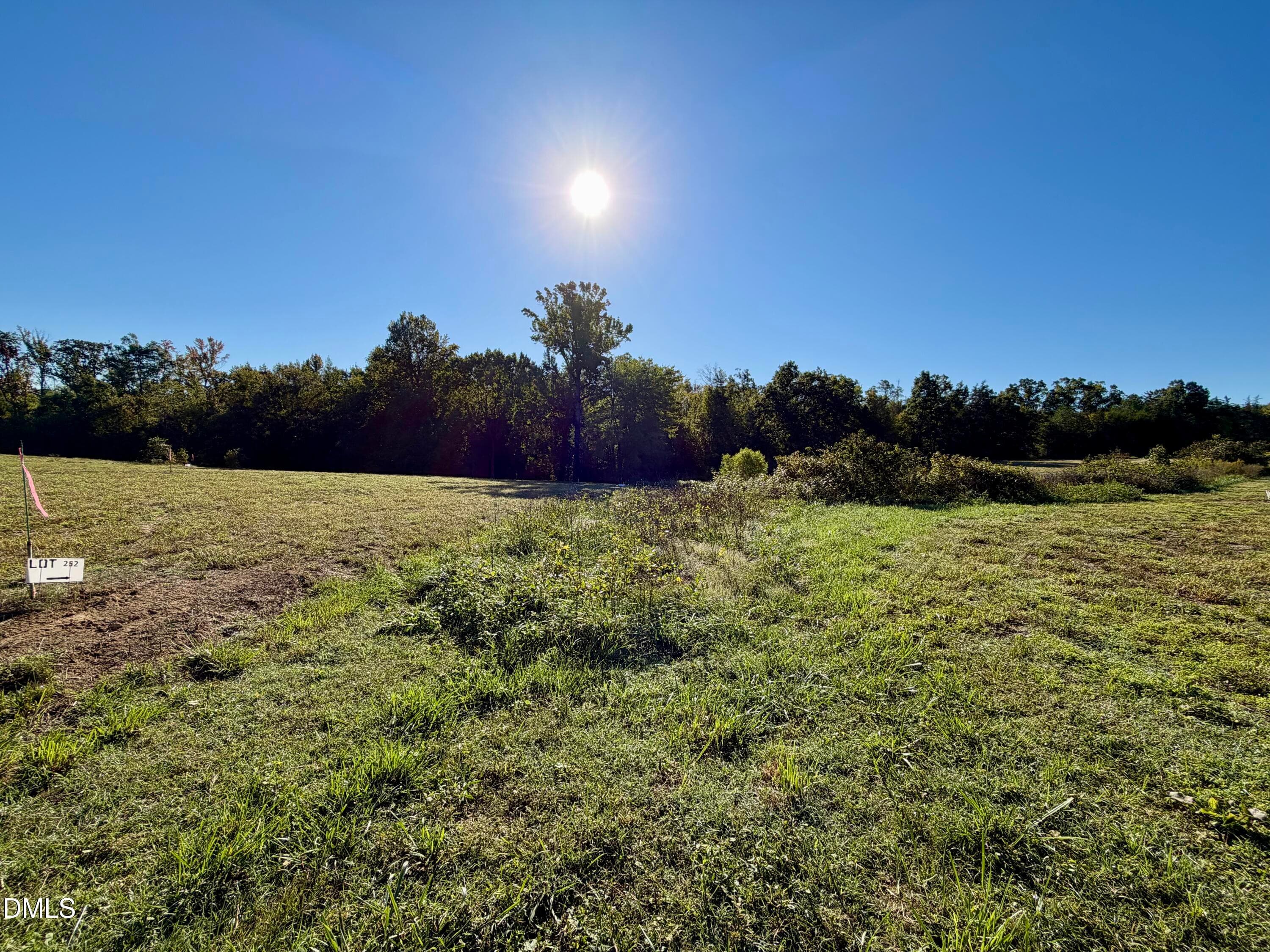 IMG_0392 - 4.77 Acres Snipes Road, Hurdle Mills, NC 27541
