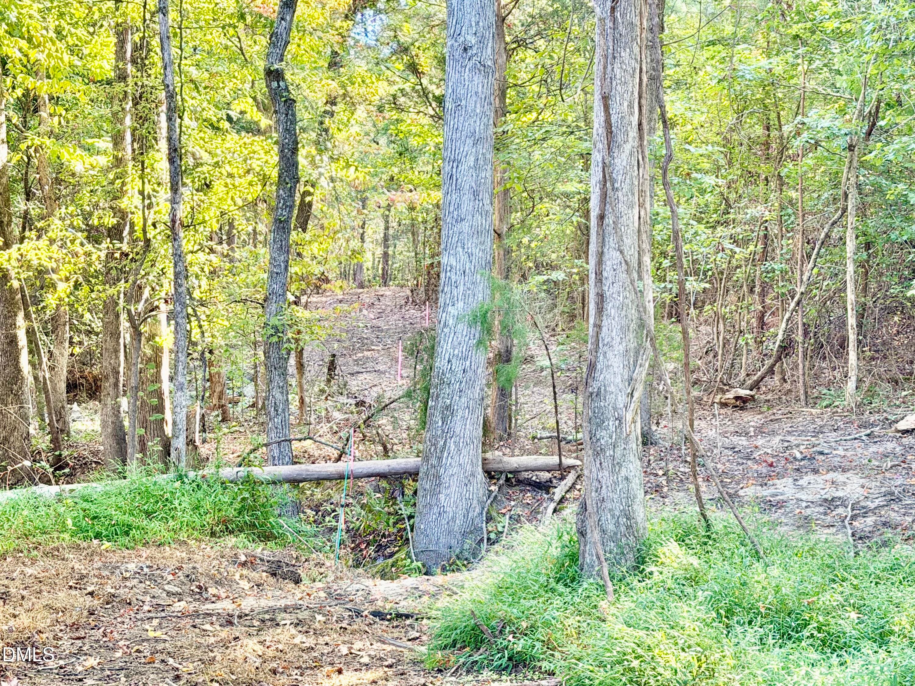 IMG_0395 - 4.77 Acres Snipes Road, Hurdle Mills, NC 27541