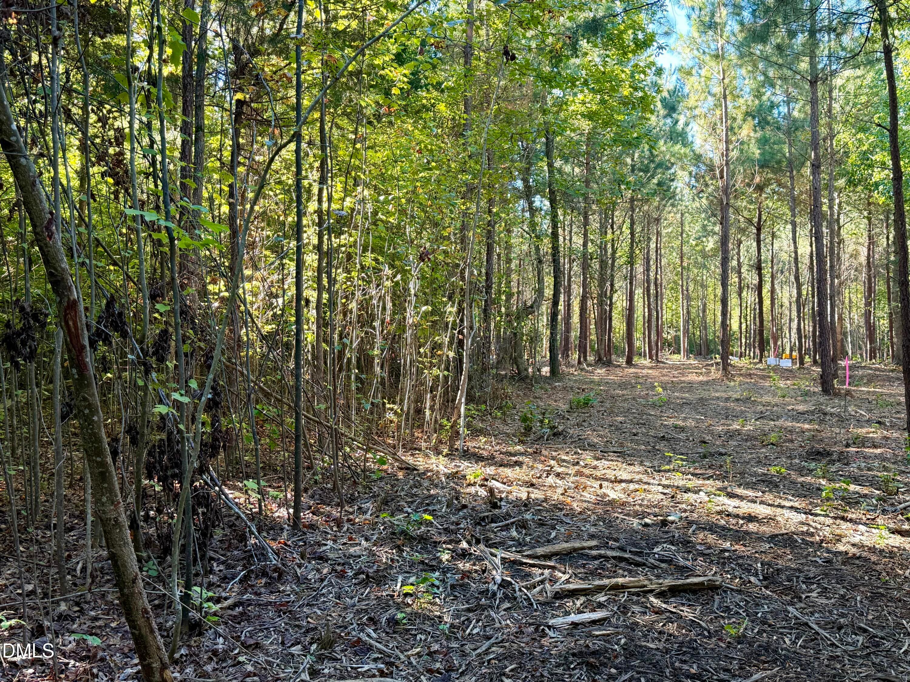 IMG_0399 - 4.77 Acres Snipes Road, Hurdle Mills, NC 27541