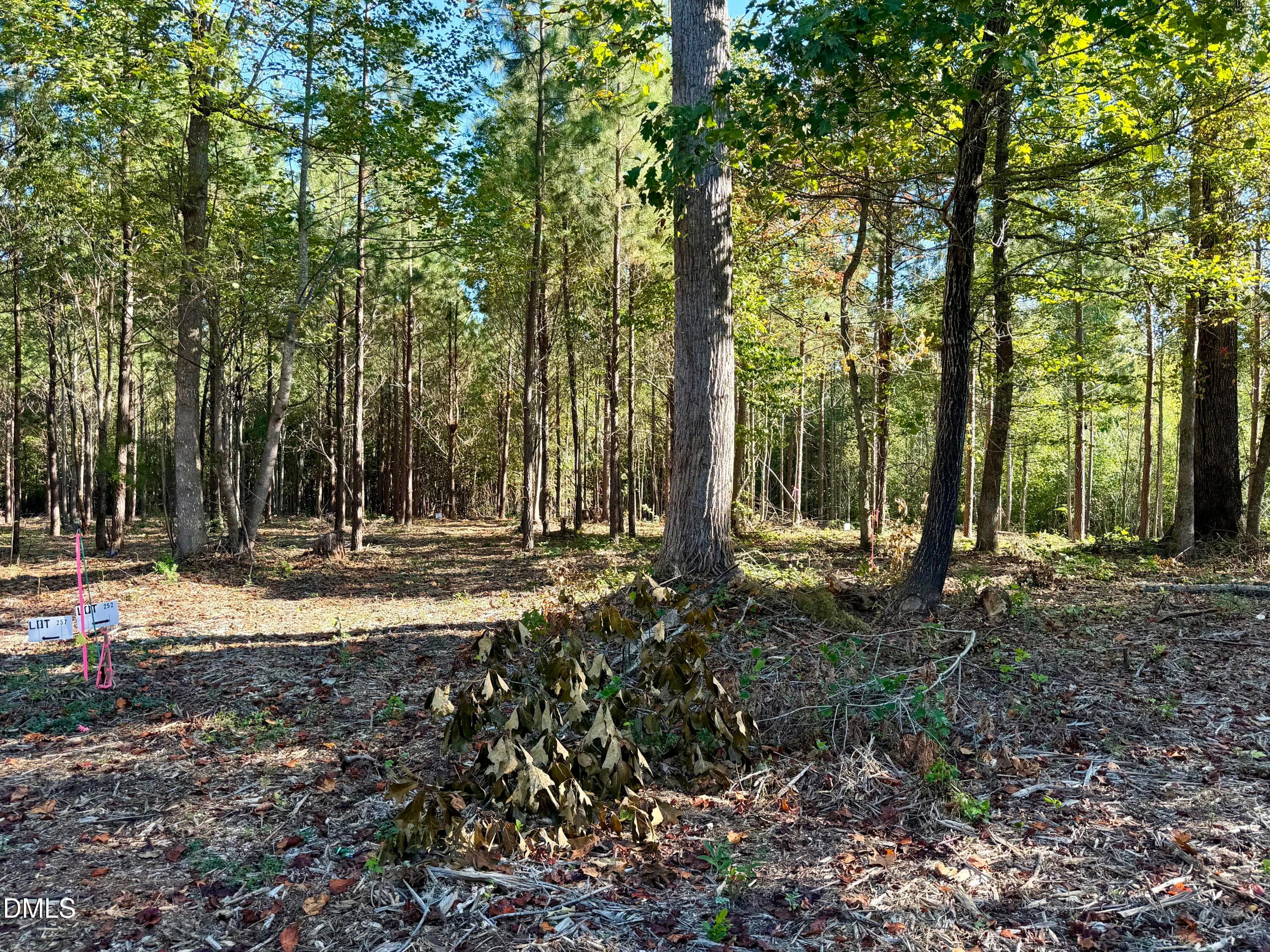 IMG_0402 - 4.77 Acres Snipes Road, Hurdle Mills, NC 27541