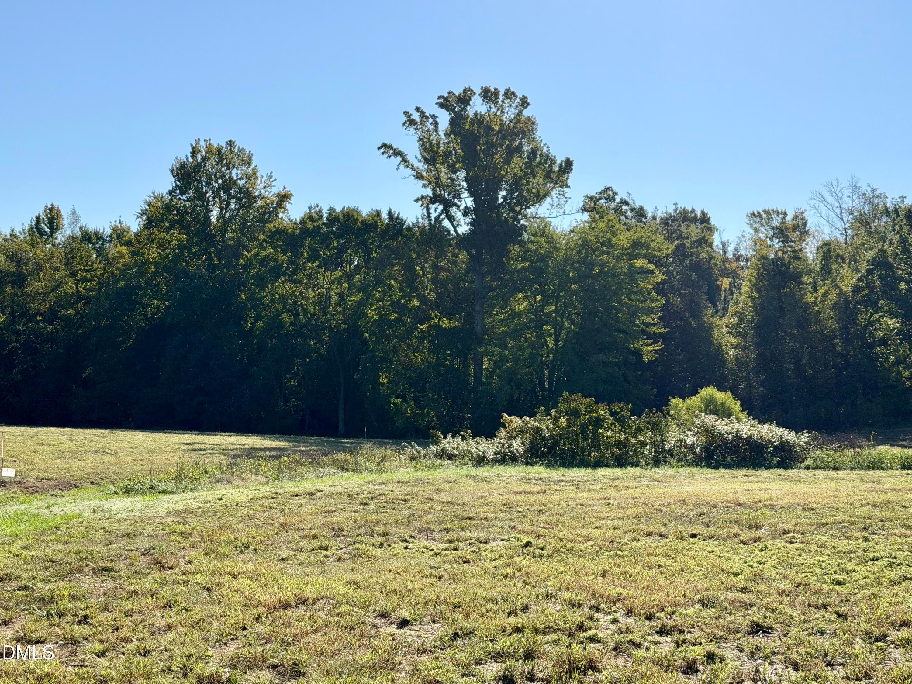 IMG_0391 - 4.77 Acres Snipes Road, Hurdle Mills, NC 27541