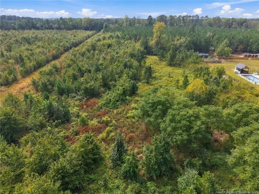 Photo 4 - Green Street, Parkton, NC 28371