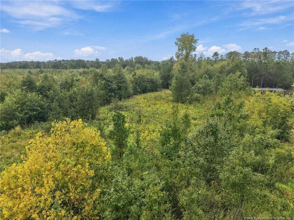 Photo 5 - Green Street, Parkton, NC 28371