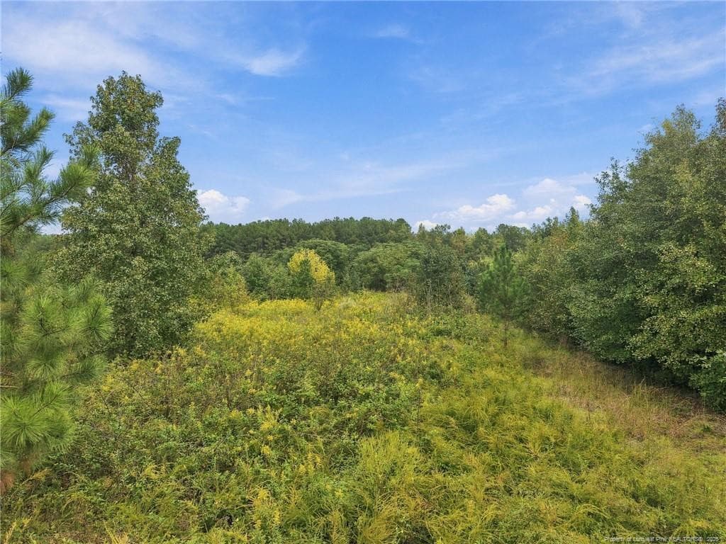Photo 6 - Green Street, Parkton, NC 28371