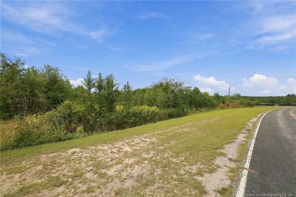 Photo 9 - Green Street, Parkton, NC 28371