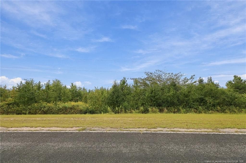 Photo 10 - Green Street, Parkton, NC 28371
