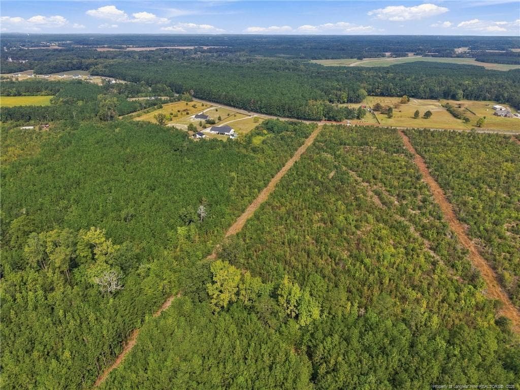 Photo 11 - Green Street, Parkton, NC 28371