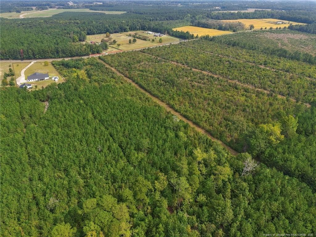 Photo 12 - Green Street, Parkton, NC 28371
