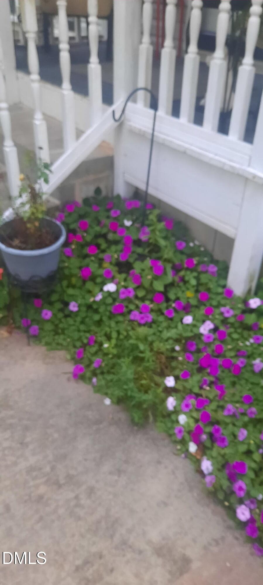Flowers galore - 397 Manson-axtell Road, Norlina, NC 27563