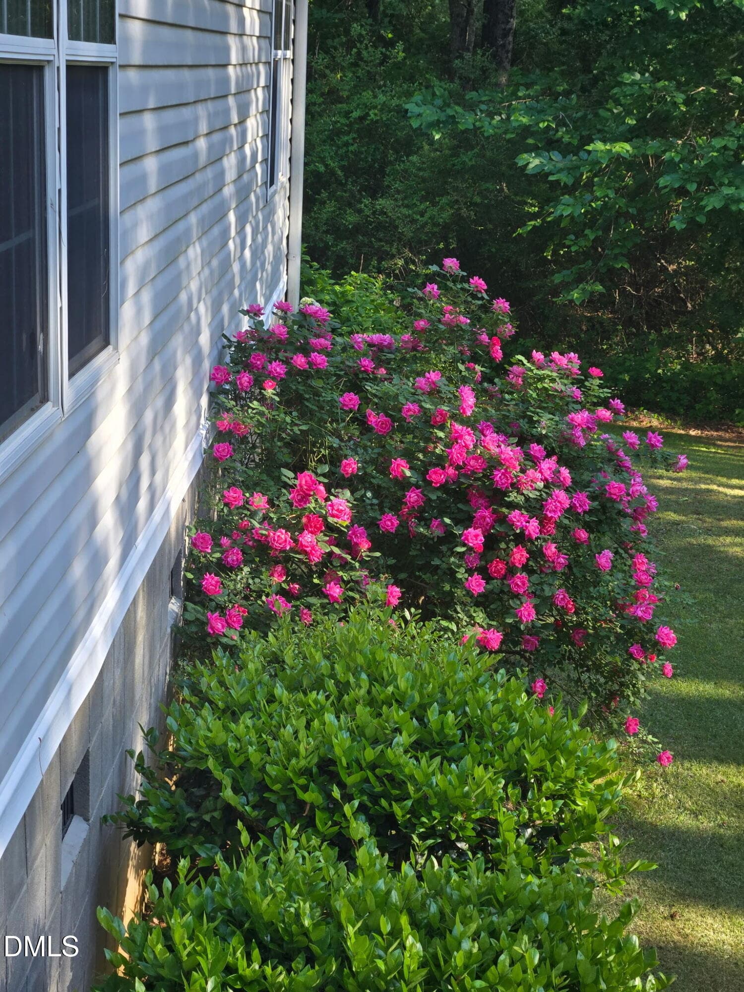 20250429_174409 - 397 Manson-axtell Road, Norlina, NC 27563