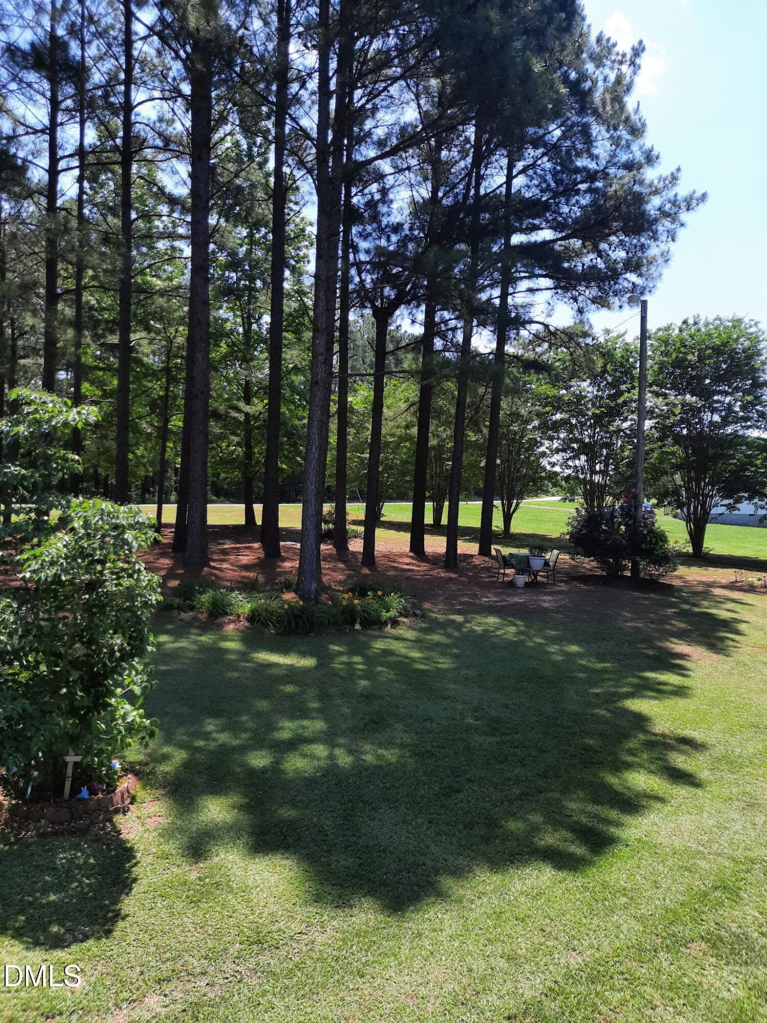 Lovely Oasis of Pine Trees - 397 Manson-axtell Road, Norlina, NC 27563