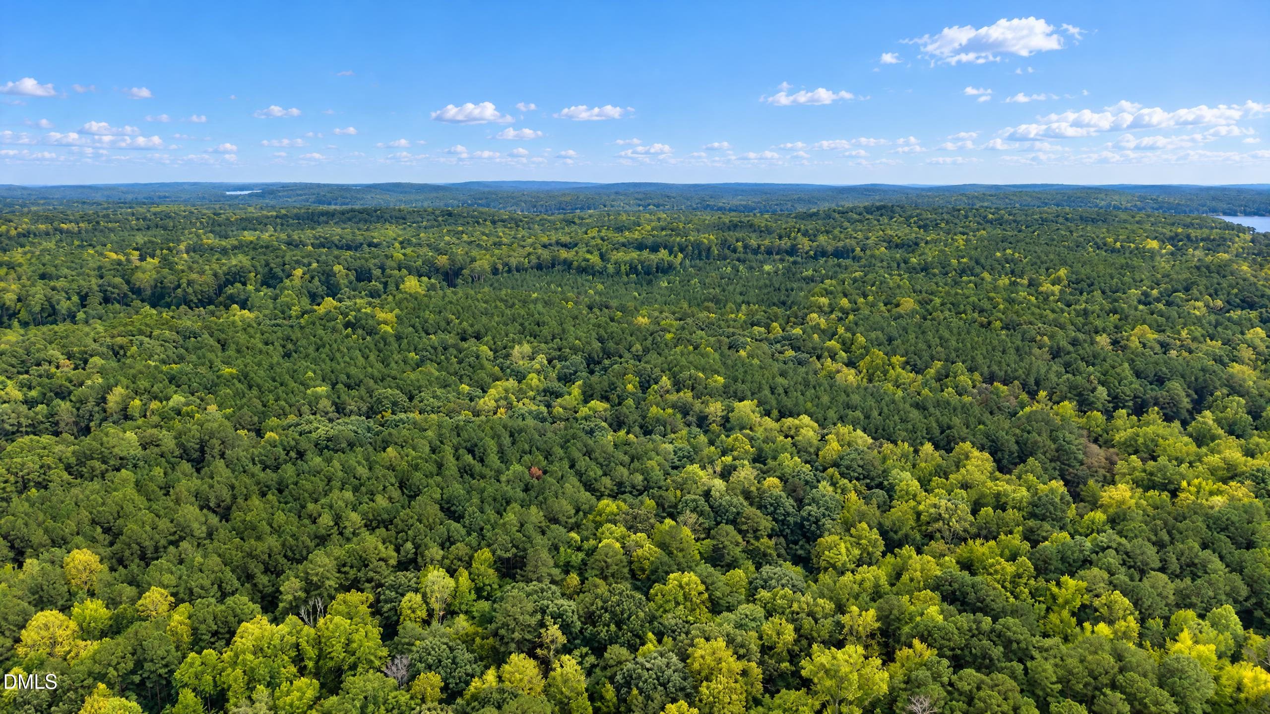 DJI_20260922114628_0243_D - Off J B Morgan Road, Apex, NC 27523, Apex