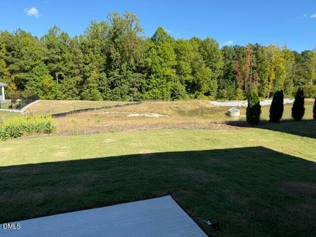 IMG_4116 - 90 Carteret Court, Clayton, NC 27527