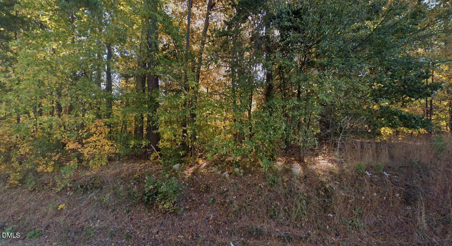 Screenshot (39) - 0 Jimmie Kerr Road, Haw River, NC 27258, Haw River