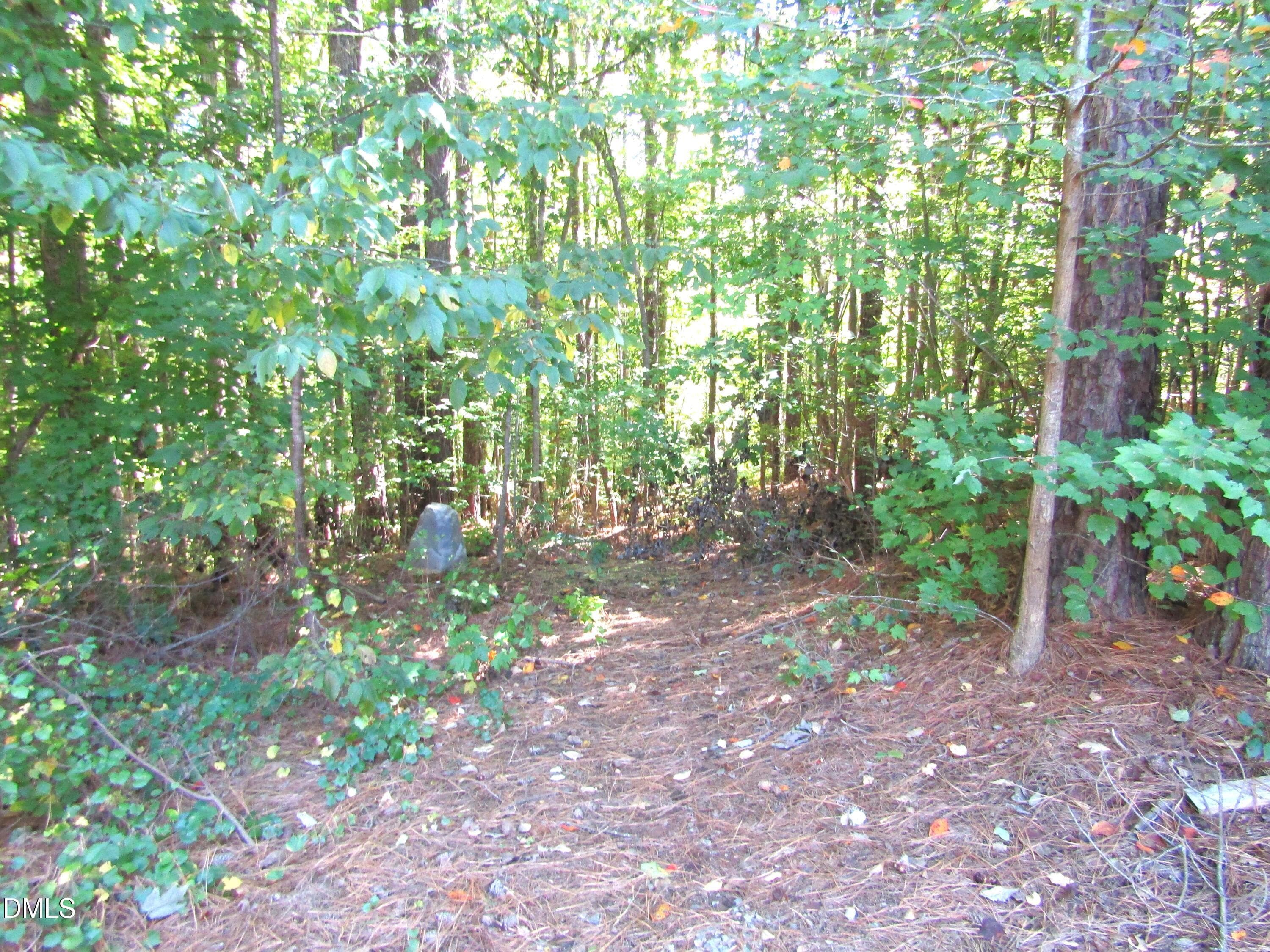 IMG_3519 - 7050 Old Plantation Drive, Graham, NC 27253, Graham
