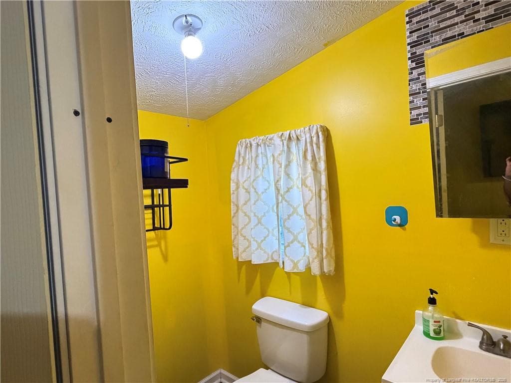 Photo 11 - 281 Brandie Road, Maxton, NC 28364