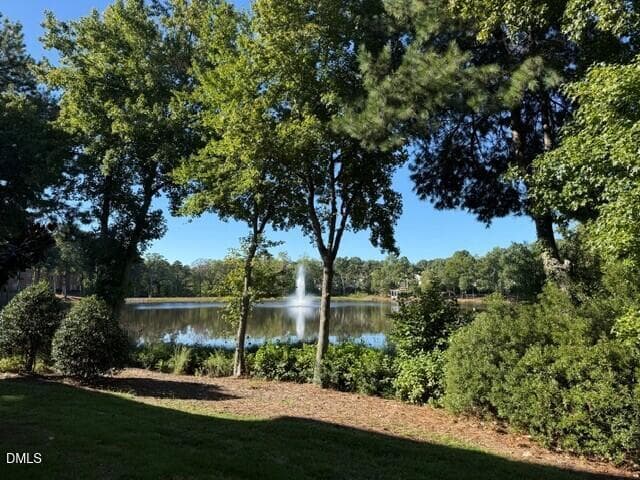 Community Lake 2 - 8241 Allyns Landing Way 302, Raleigh, NC 27615, Raleigh