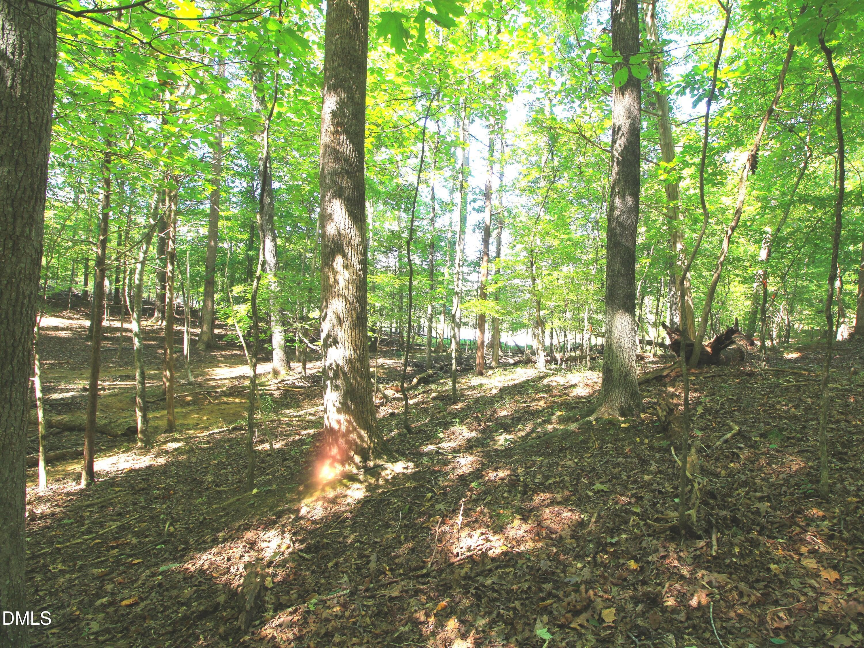 p8 - 3656 Bason Road, Mebane, NC 27302, Mebane