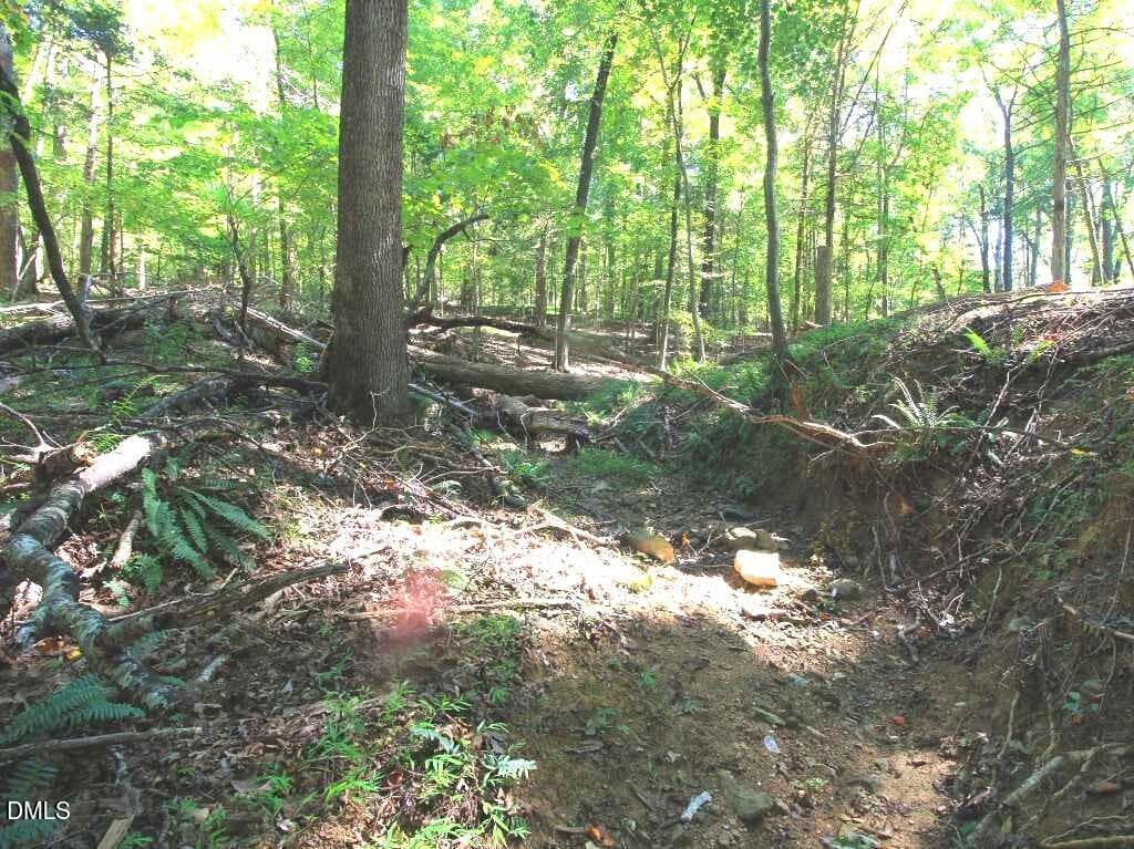 p9 - 3656 Bason Road, Mebane, NC 27302, Mebane