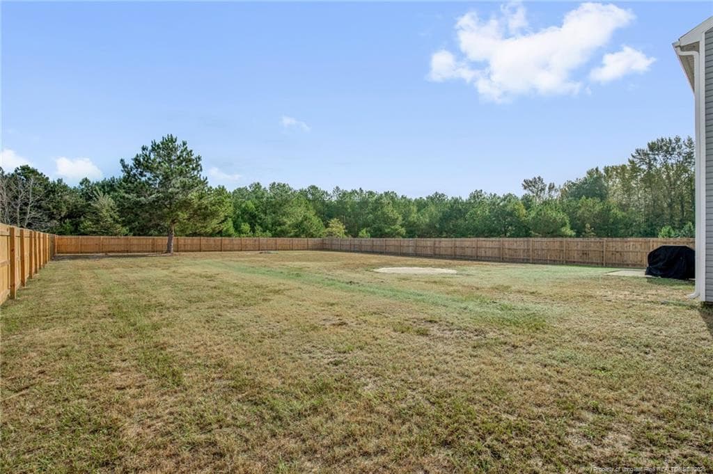 Photo 3 - 4993 Blue Springs Road, Red Springs, NC 28377