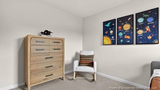 BEDROOM - 87 Firehawk Drive, Spring Lake, NC 28390, Spring Lake