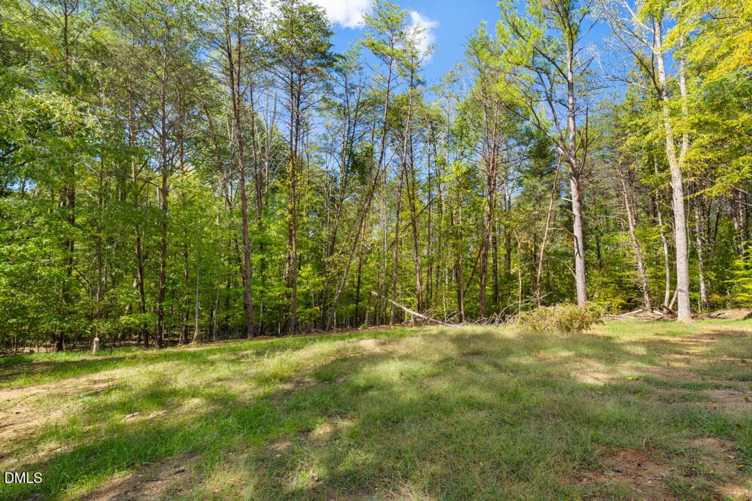 DSC09153 - 1480 Boy Scout Camp Road, Yanceyville, NC 27379, Yanceyville