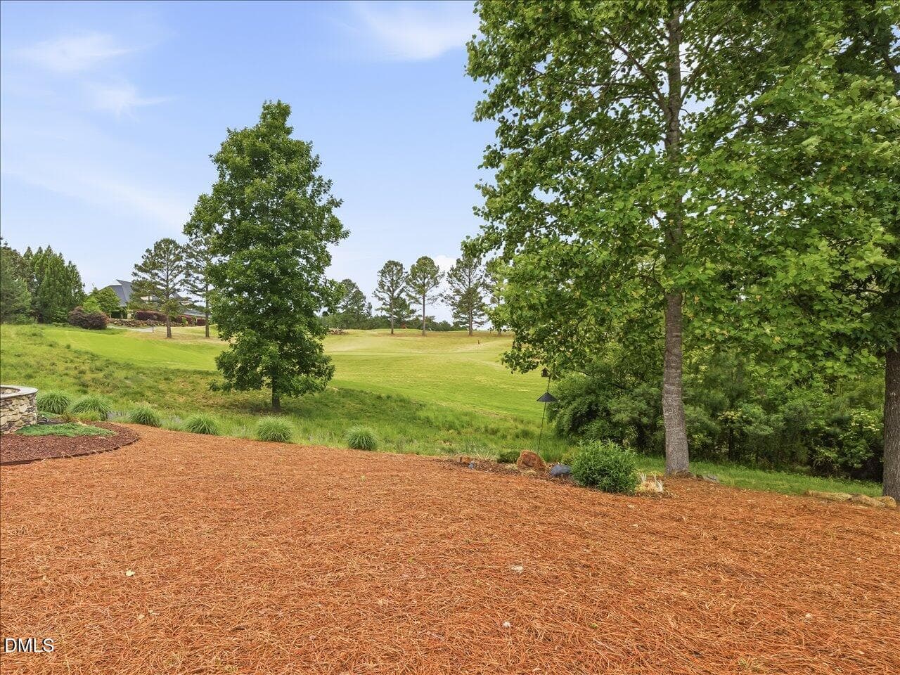 30-Near Hole 9 - 766 Chapel Ridge Drive, Pittsboro, NC 27312, Pittsboro