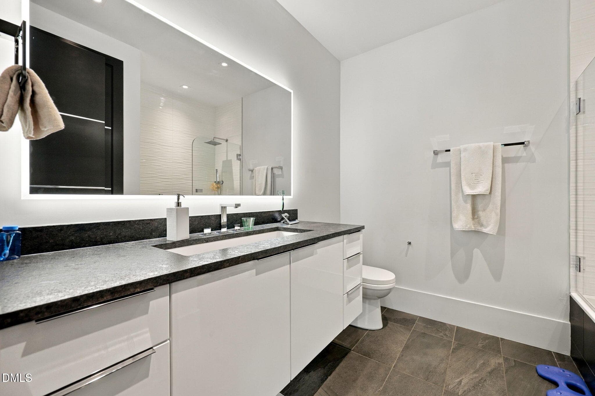 100-web-or-mls-IMG_3656 - 12313 Birchfalls Drive, Raleigh, NC 27614