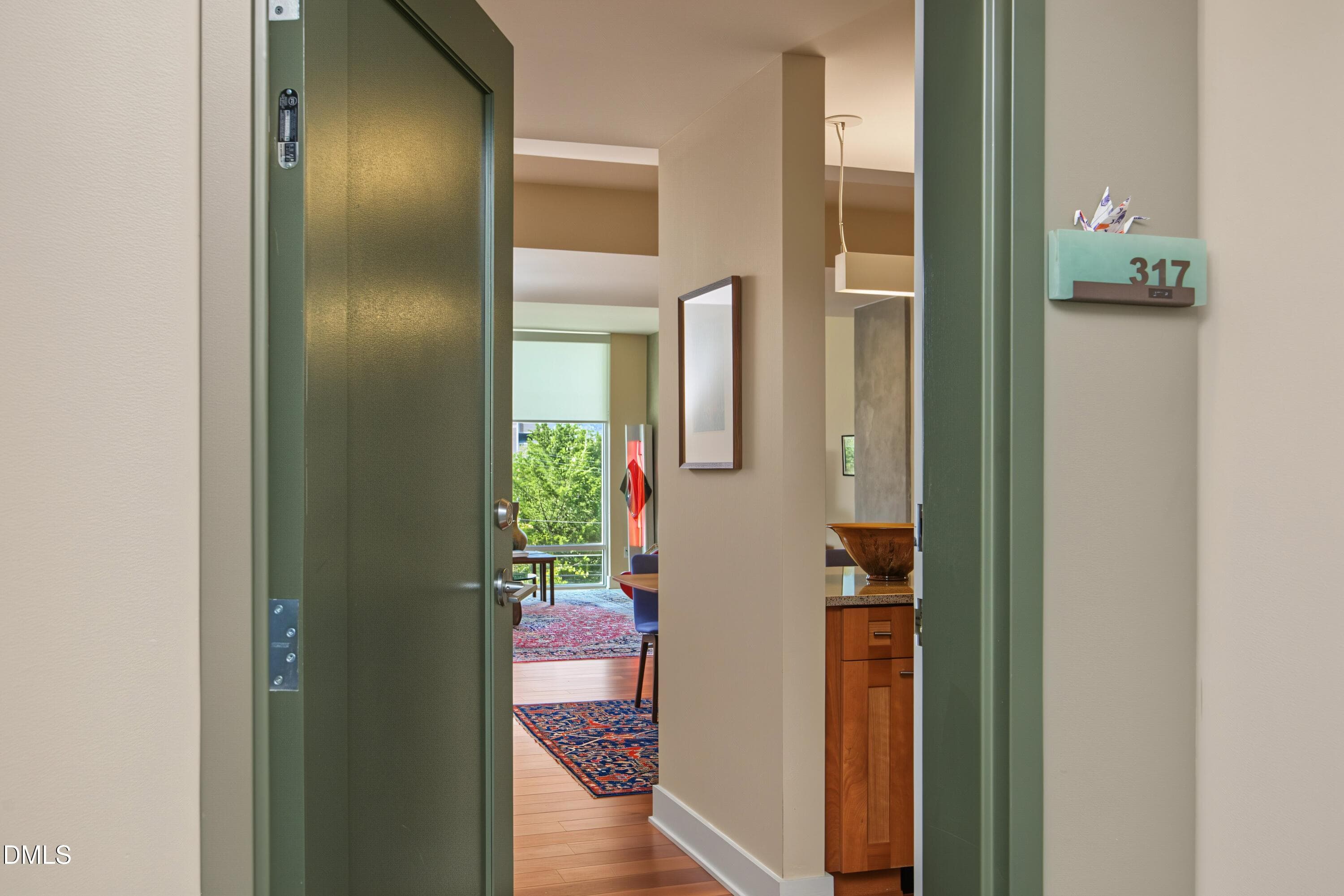 01CondoDoor - 601 W Rosemary Street 317, Chapel Hill, NC 27516, Chapel Hill