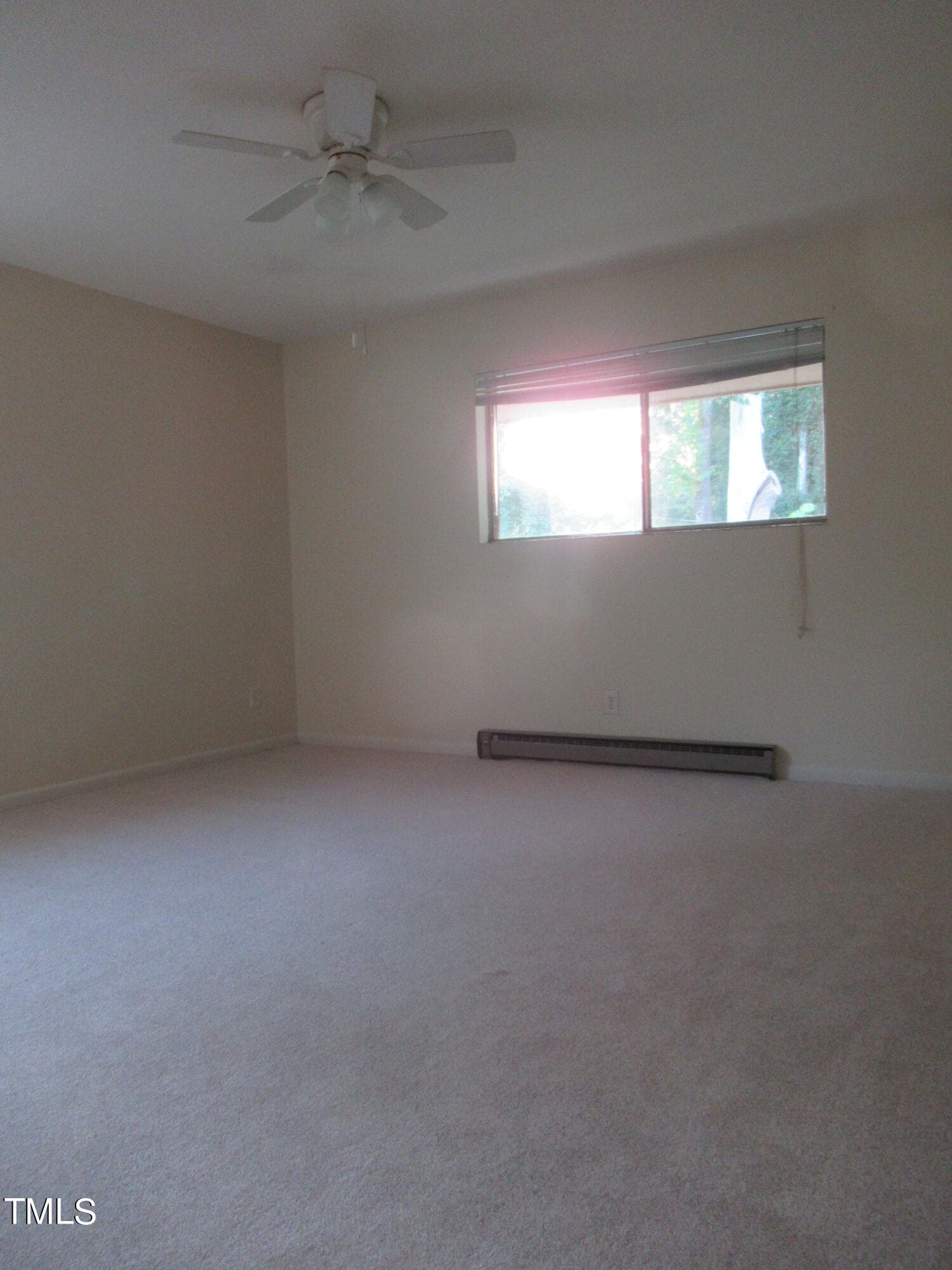 11bedWindowSunnyVeryGood - 130 S Estes Drive B-11, Chapel Hill, NC 27514, Chapel Hill